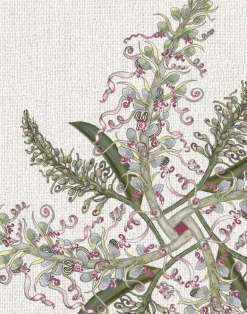 Lizard Orchid, Natural