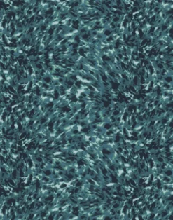 Lonesome George, Lagoon