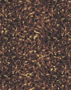 Lonesome George, Walnut