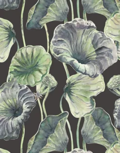 Lotus Leaf, Full Scale