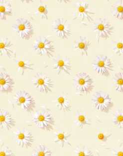 Love Me, Love Me Not, At The Beach