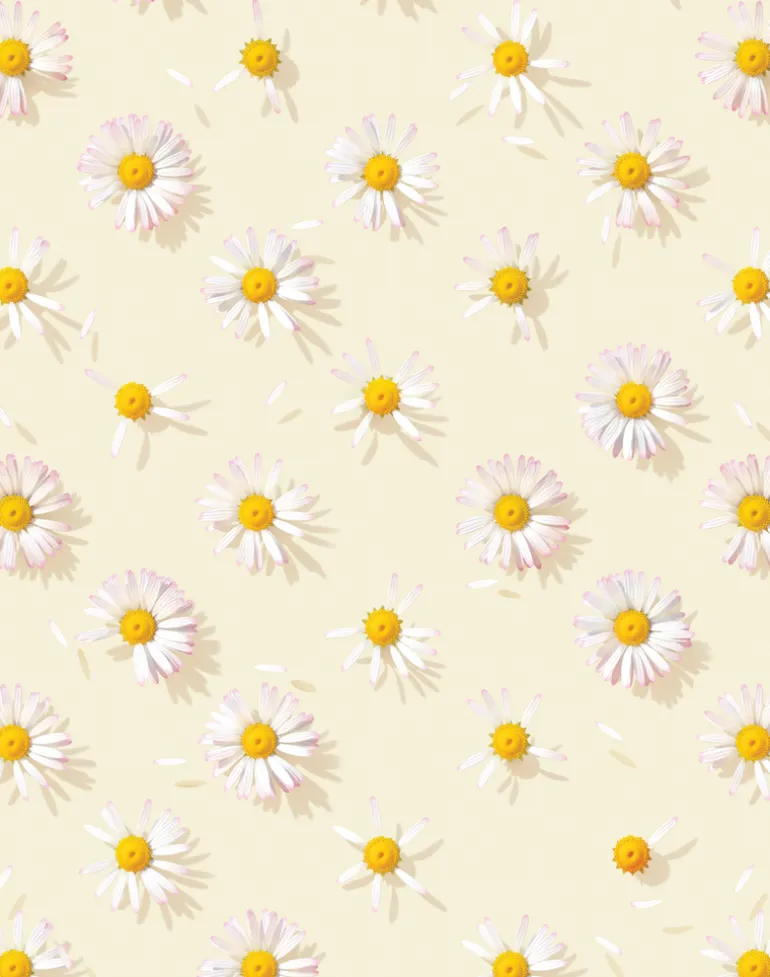 Love Me, Love Me Not, At The Beach