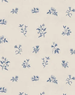 Lovers Bloom, Blueberry Pancake WPLN0057