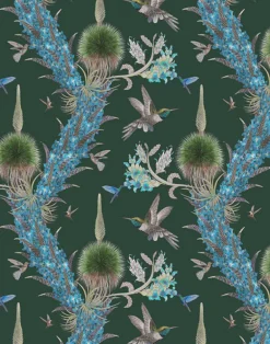 Madidi Hummingbirds, Forest