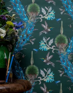 Madidi Hummingbirds, Forest