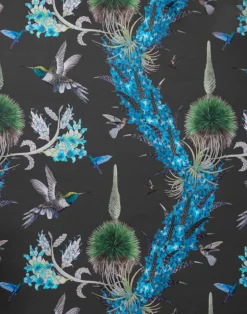 Madidi Hummingbirds, Midnight