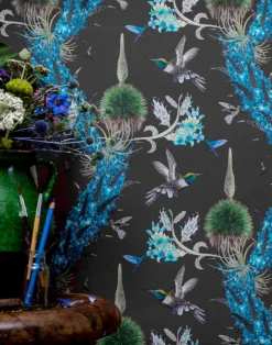 Madidi Hummingbirds, Midnight