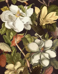 Magnolia