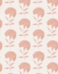 Marigold, Pink Indian Sunset