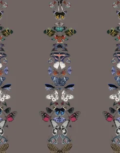 Metamorphosis W-MET-SAD-ENF