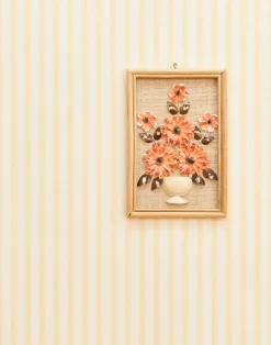 Nanny's Stripe, Daisy