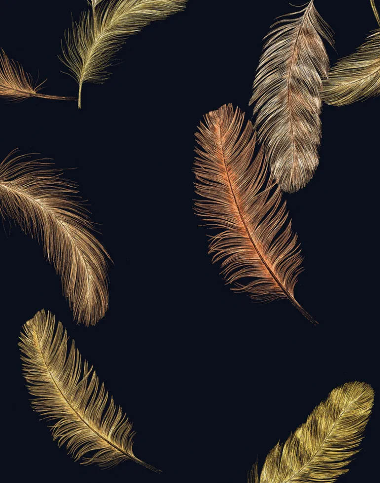 Newton Creek, Midnight Blue