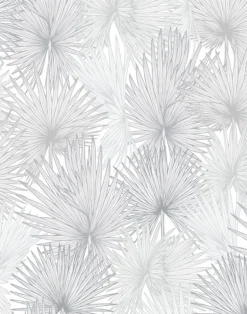 Nobilis Palm, Silvery