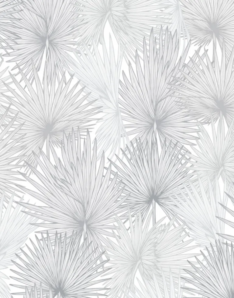 Nobilis Palm, Silvery