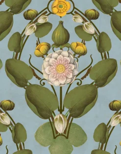 Nymphaea, Powder Blue