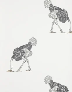 Ostrich Small, Pencil on Bone