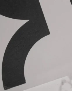 Overscale Contour, Auk