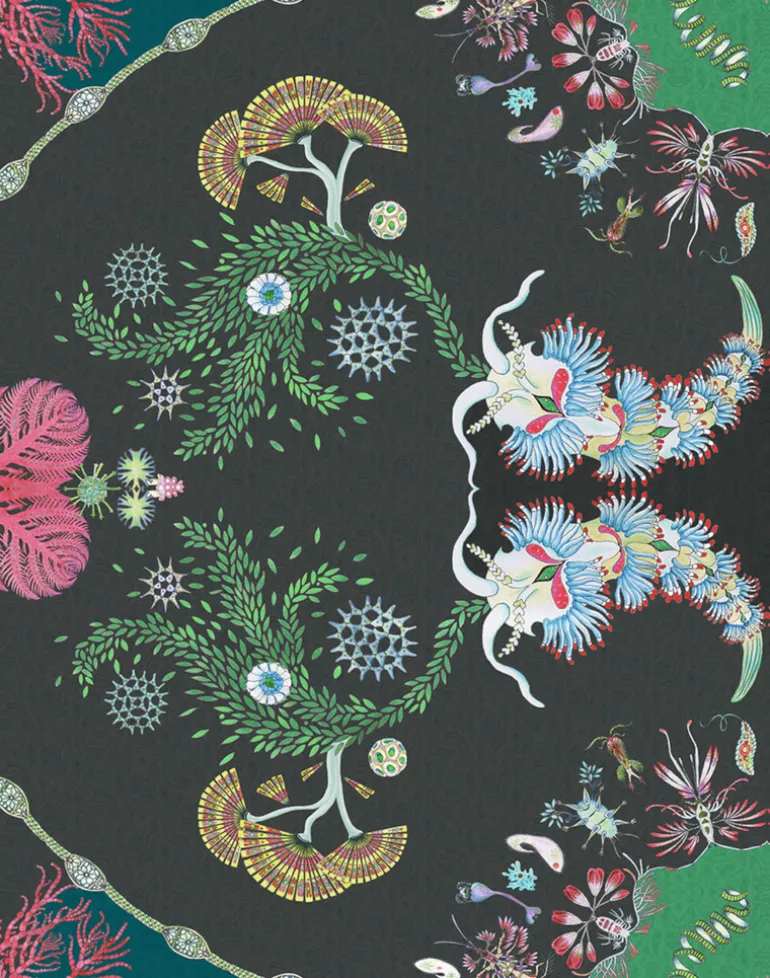 Paisley Paramecium Medium Scale, Haeckel