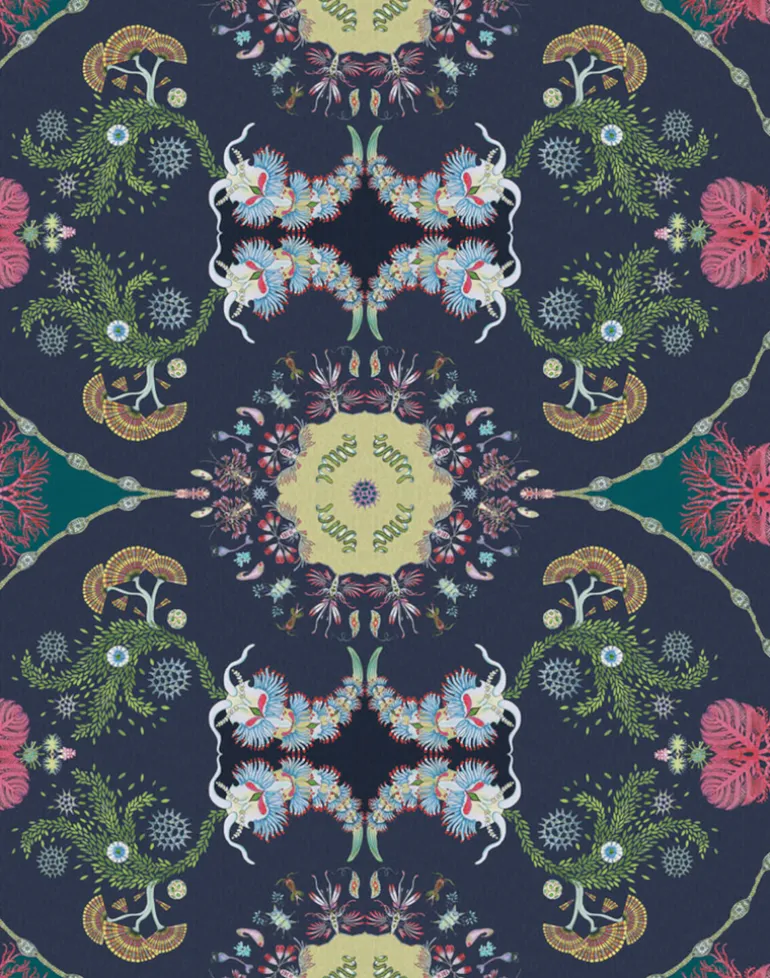 Paisley Paramecium Medium Scale, Haeckel