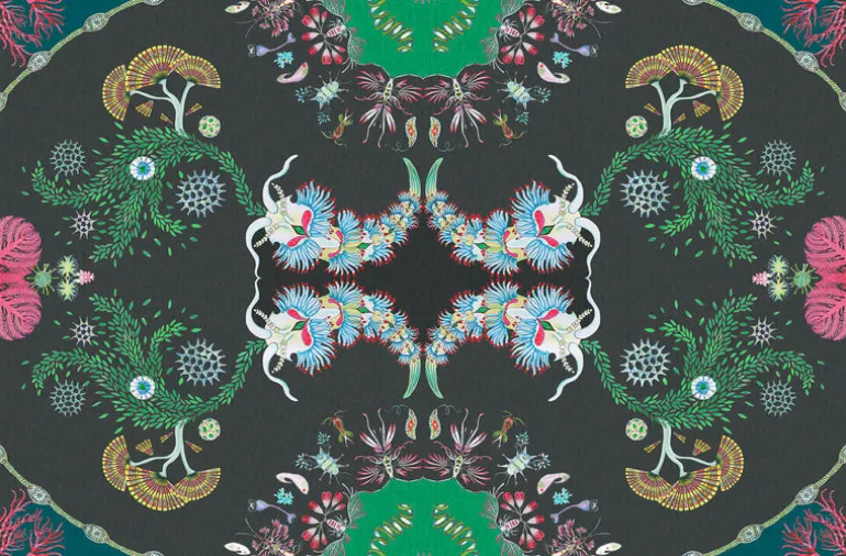 Paisley Paramecium Medium Scale, Haeckel