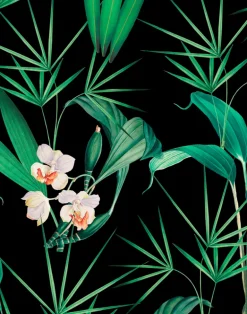 Palm Springs, Anthracite