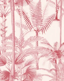 Palmera Cubana, Pink