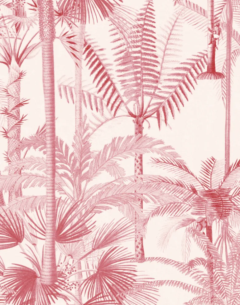 Palmera Cubana, Pink