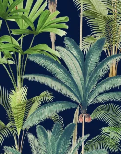 Palmeras, Anthracite