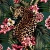 Panthera Paradise