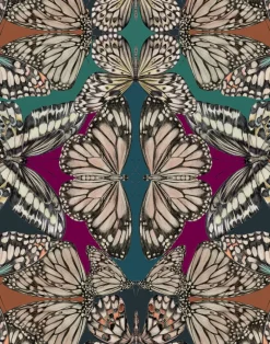 Papilio, Jewel