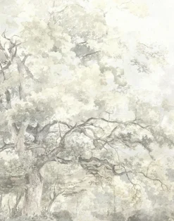 Paradise, Margarita WPLC0469