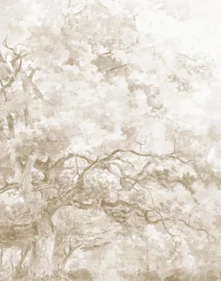 Paradise, Silver Fern WPLC0478