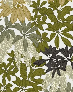 Parasol Leaves, In Sun