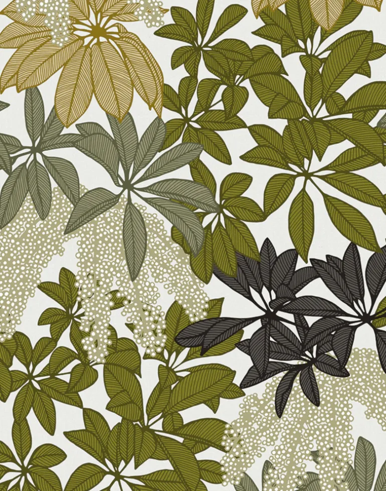 Parasol Leaves, In Sun