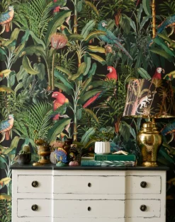 Parrots of Brasil, Anthracite