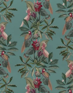 Passiflora Superwide, Vardo