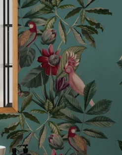 Passiflora Superwide, Vardo