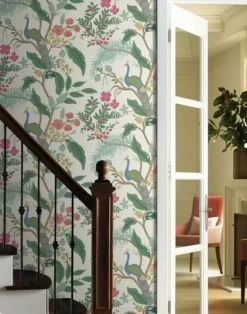 Peacock, Rouge RI5174