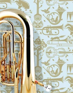 Pet Sounds, Powder Paint Blue