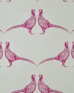 Pheasant, Pink