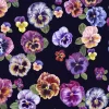 Plethora of Pansies, Violet