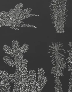 Pointy, White on Black