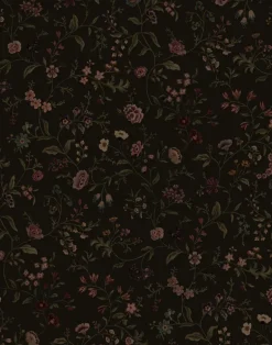 Primavera, Midnight WPLN0091