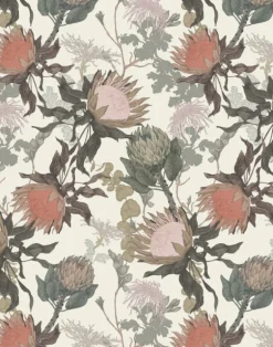 Proteas' Dream, Cream