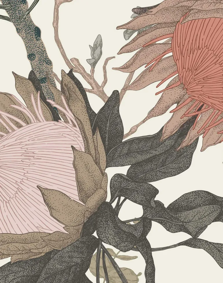 Proteas' Dream, Cream