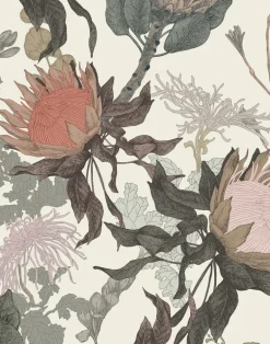 Proteas' Dream, Cream