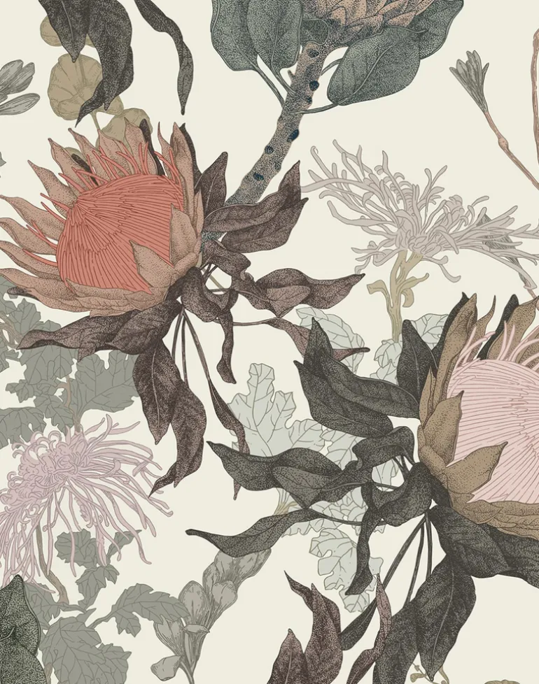 Proteas' Dream, Cream