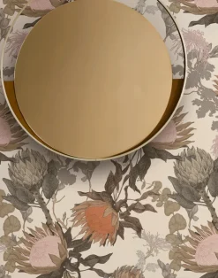 Proteas' Dream, Cream