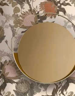 Proteas' Dream, Cream