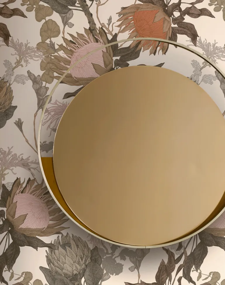 Proteas' Dream, Cream